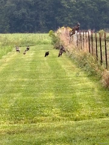 67325 Lowe Plank Road, Lenox Township, MI 48050