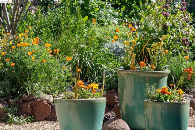 731 Grizzly Peak Blvd, Berkeley, CA 94708