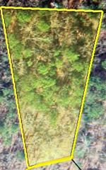 Lot 18 Little Cottontail, Murphy, NC 28906
