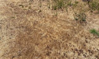 0 Vac/Ave G/Vic 125 Stw, Antelope Acres, CA 93536