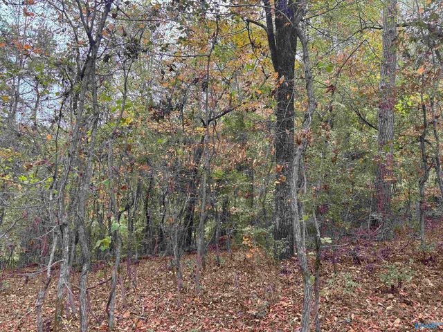 1 Davis Place, Gadsden, AL 35905