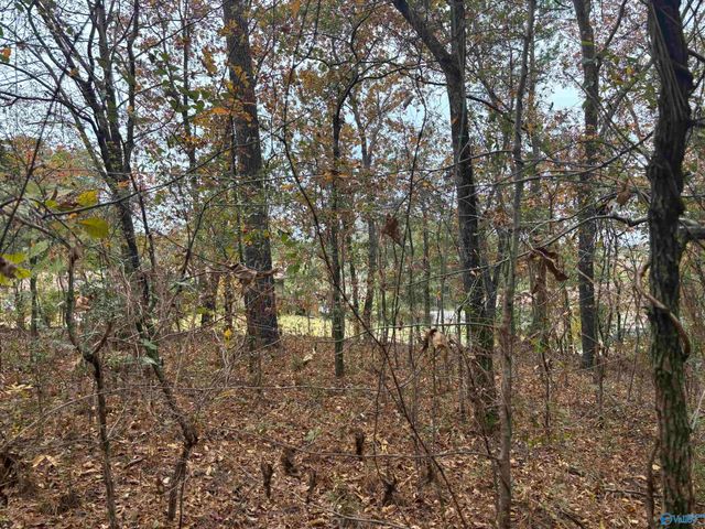 1 Davis Place, Gadsden, AL 35905