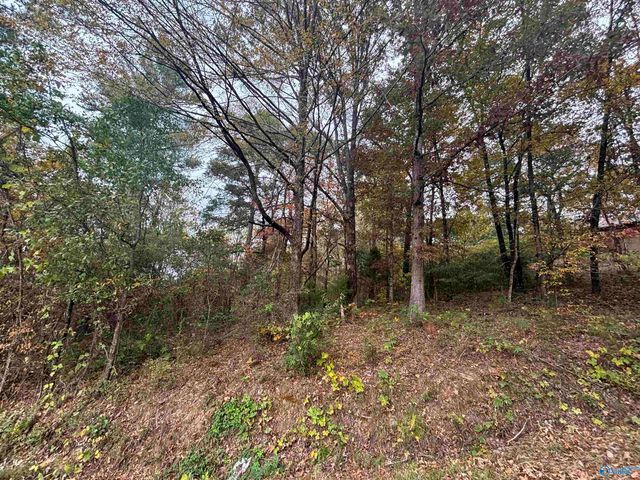 1 Davis Place, Gadsden, AL 35905