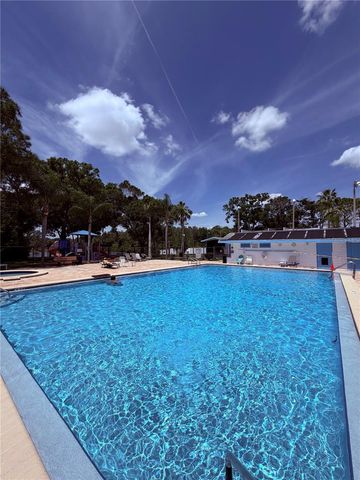 129 CAMPHOR CIRCLE F, Oldsmar, FL 34677