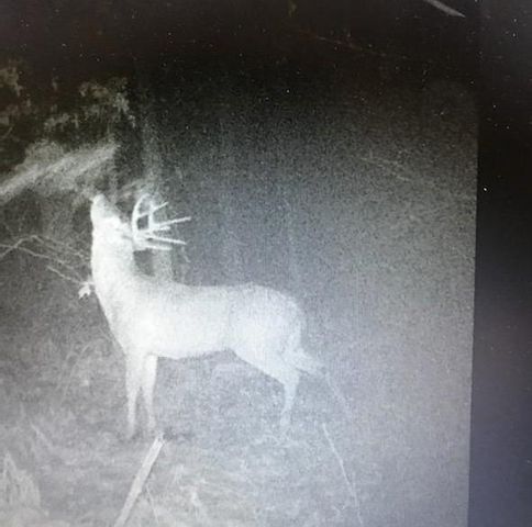 8155 S Us 421, San Pierre, IN 46374