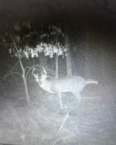 8155 S Us 421, San Pierre, IN 46374