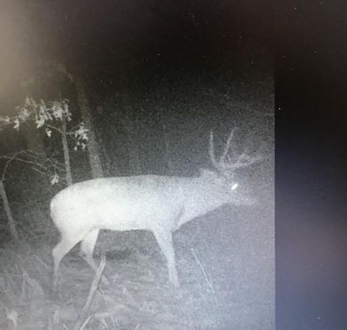 8155 S Us 421, San Pierre, IN 46374