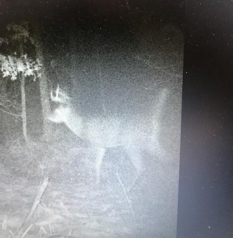 8155 S Us 421, San Pierre, IN 46374