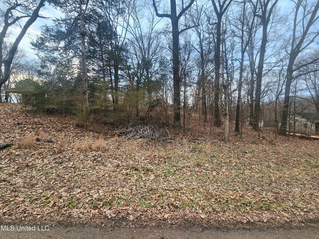 Jackson Road, Nesbit, MS 38651 — exterior