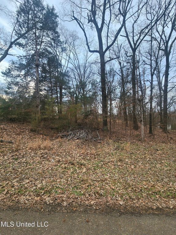 Jackson Road, Nesbit, MS 38651 — photo 2