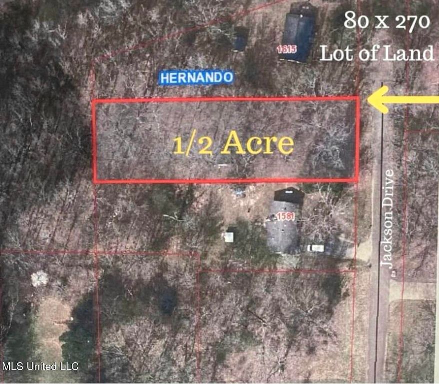 Jackson Road, Nesbit, MS 38651 — photo 3