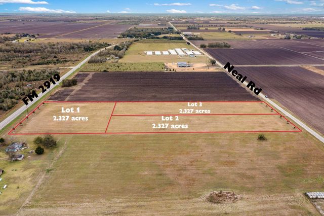 Lot 3 Neal Rd, Beasley, TX 77417