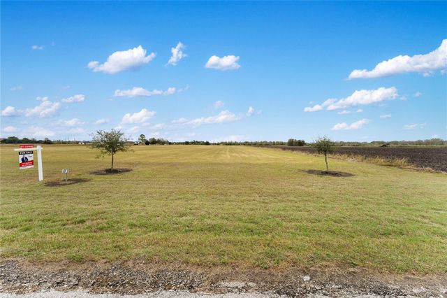 Lot 3 Neal Rd, Beasley, TX 77417