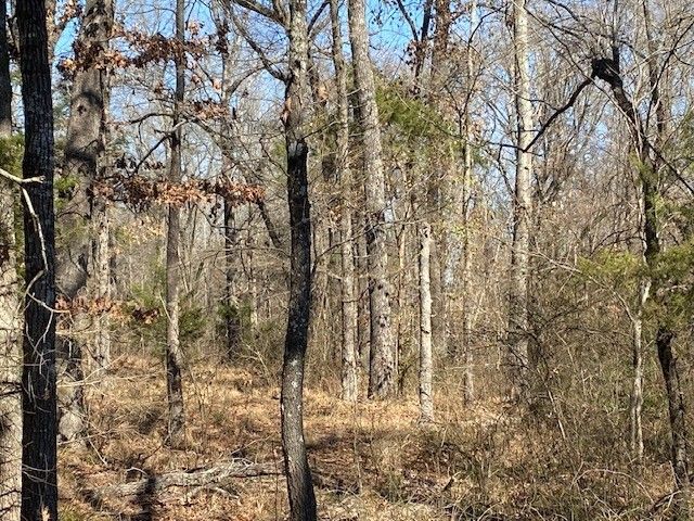 4101 CR 3703, Athens, TX 75752