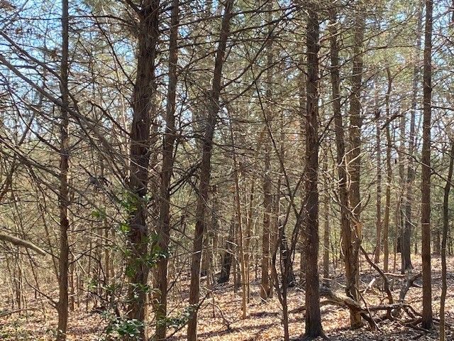 4101 CR 3703, Athens, TX 75752