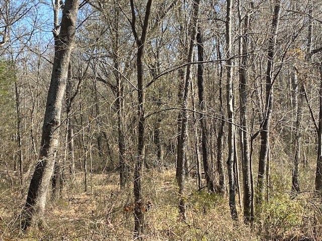 4101 CR 3703, Athens, TX 75752