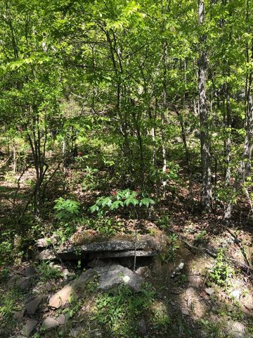 Tract 14 Weldon Rd., Edgemont, AR 72044