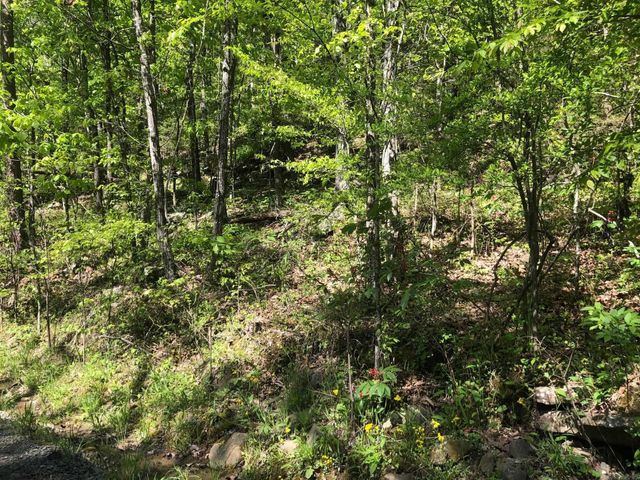 Tract 14 Weldon Rd., Edgemont, AR 72044