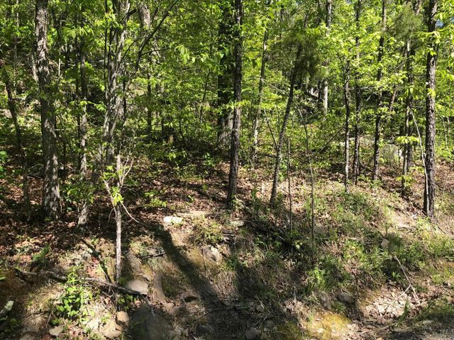 Tract 14 Weldon Rd., Edgemont, AR 72044