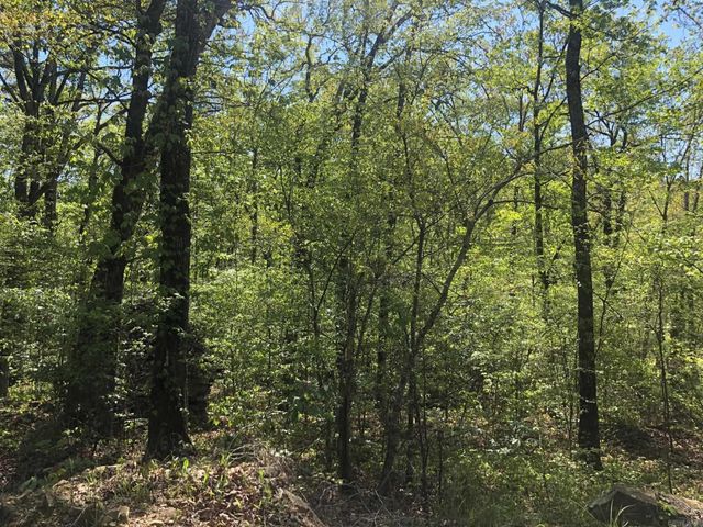 Tract 14 Weldon Rd., Edgemont, AR 72044