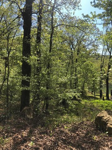 Tract 14 Weldon Rd., Edgemont, AR 72044