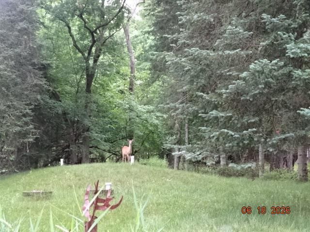 2635 N Lakeview Drive, Montello, WI 53949