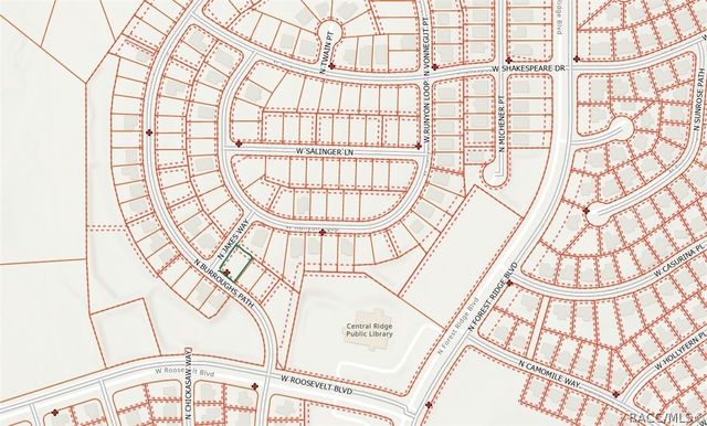 3271 N Burroughs Path, Beverly Hills, FL 34465