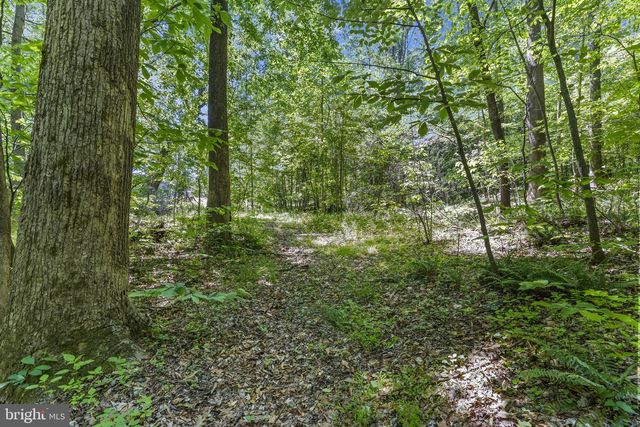 15690 NELSON PERRIE RD, Brandywine, MD 20613