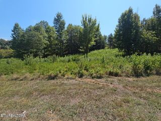 LOT 41 Meadow (W/Dock) Lane, Harriman, TN 37748