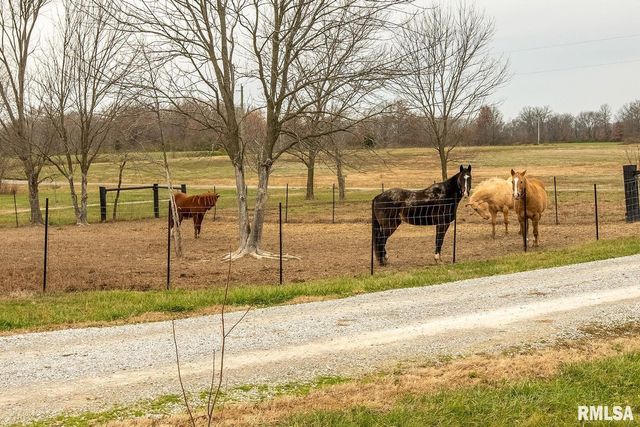 3996 Belgium Road, Mulkeytown, IL 62865