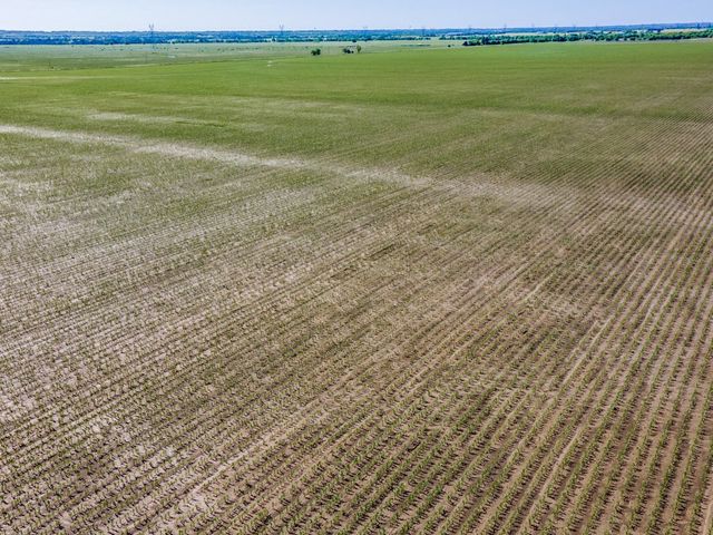 TBD 240 Wall Street Road, Gunter, TX 75058