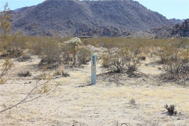 66250 Sullivan, Joshua Tree, CA 92252