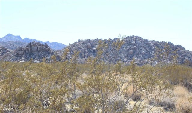 66250 Sullivan, Joshua Tree, CA 92252