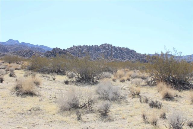 66250 Sullivan, Joshua Tree, CA 92252