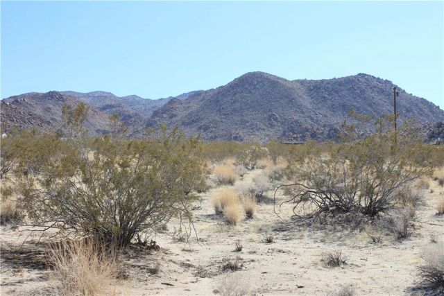 66250 Sullivan, Joshua Tree, CA 92252