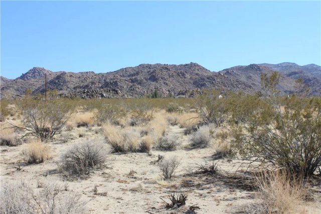 66250 Sullivan, Joshua Tree, CA 92252