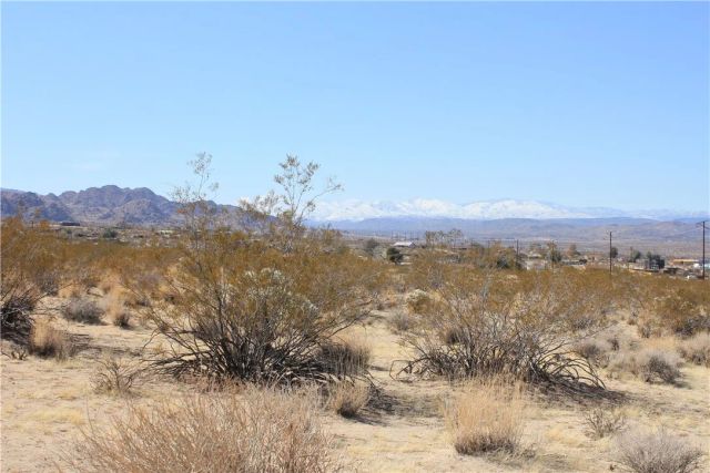 66250 Sullivan, Joshua Tree, CA 92252