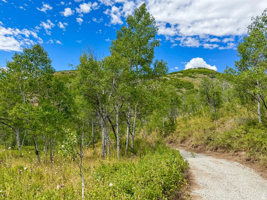 1946 MOOSE HOLW, Coalville, UT 84017 — photo 4