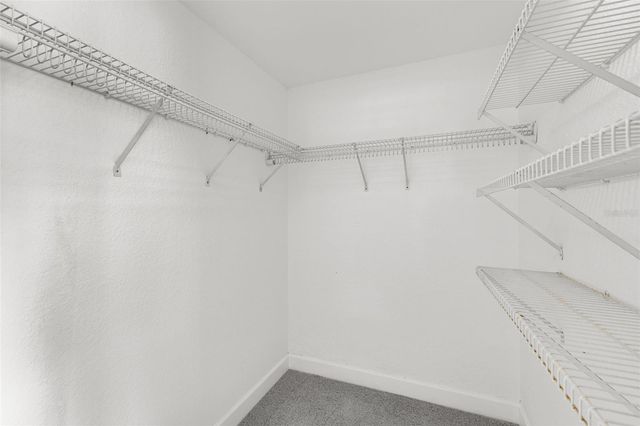 317 BRENTWOOD DRIVE, Temple Terrace, FL 33617