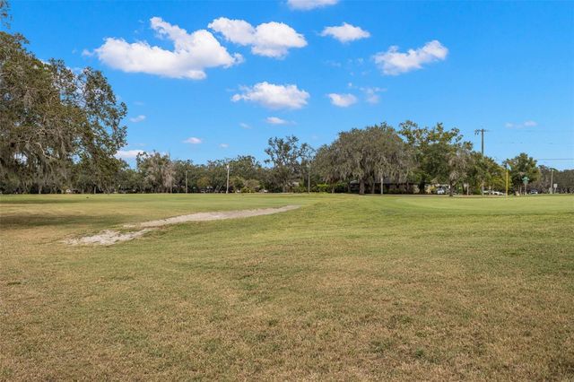 317 BRENTWOOD DRIVE, Temple Terrace, FL 33617