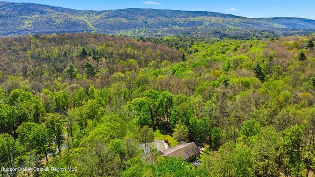 414 Red Hill Road, Phillipsport, NY 12769