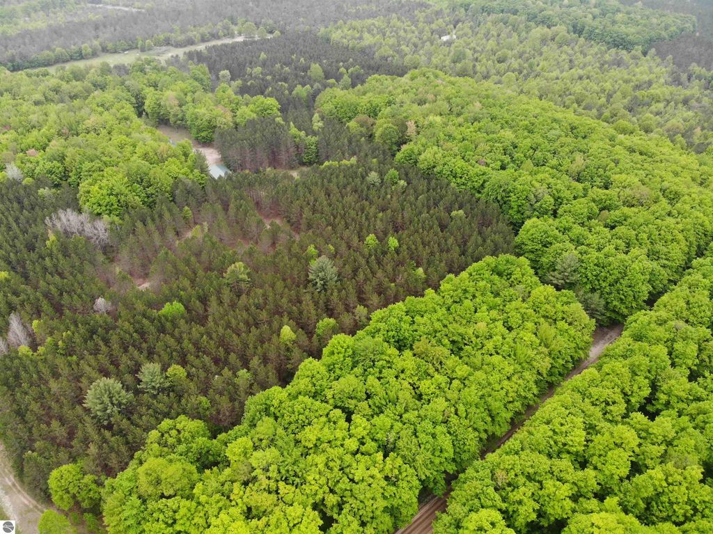 Image 35 of property listing at 135 Montgomery Road, South Boardman, MI 49680