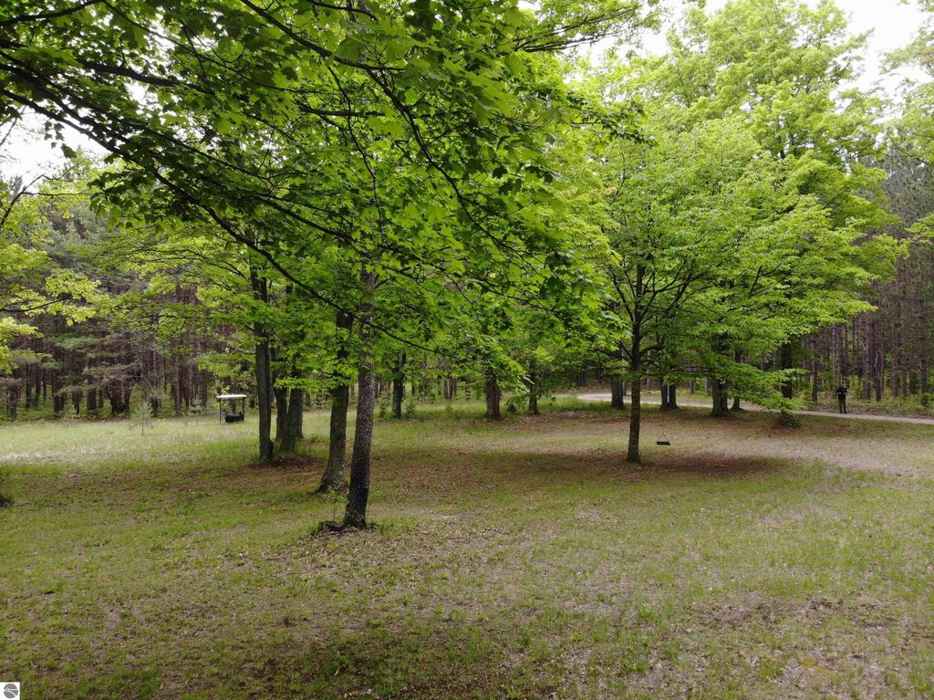 Image 40 of property listing at 135 Montgomery Road, South Boardman, MI 49680