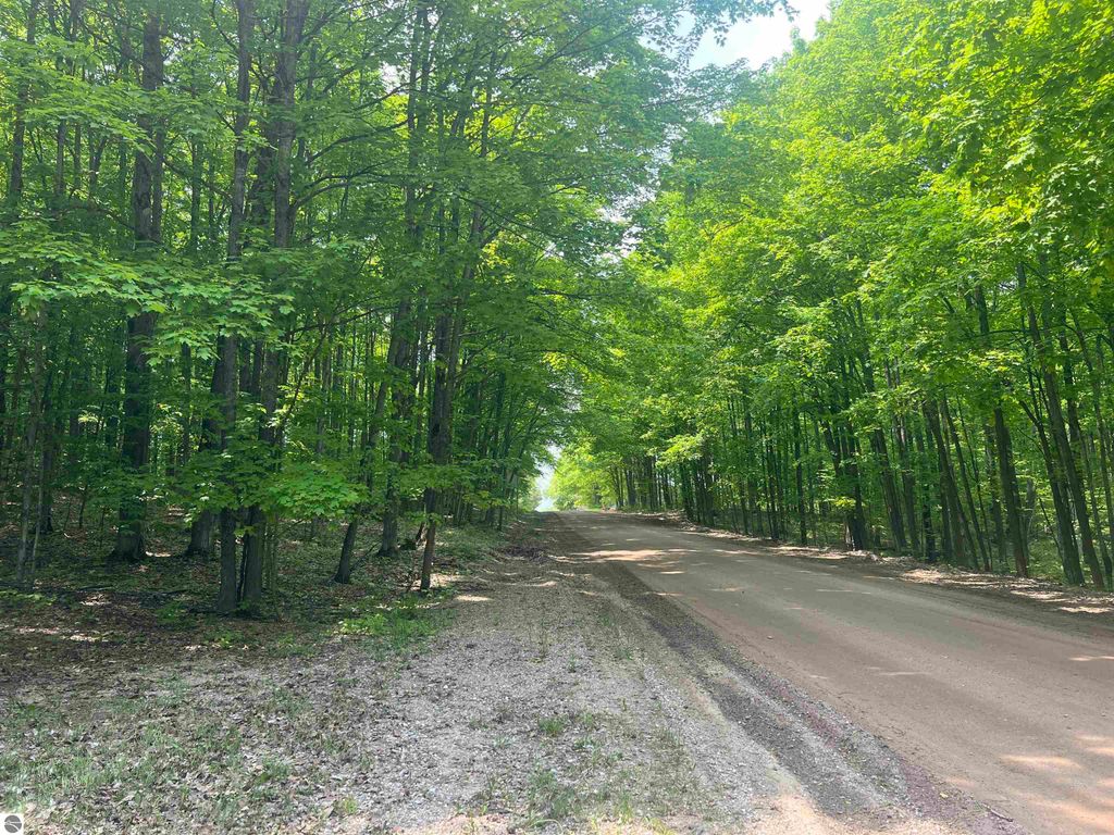 Image 44 of property listing at 135 Montgomery Road, South Boardman, MI 49680