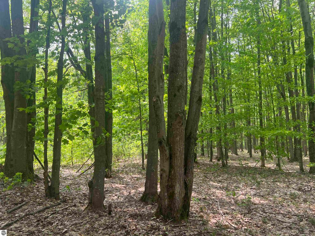 Image 46 of property listing at 135 Montgomery Road, South Boardman, MI 49680