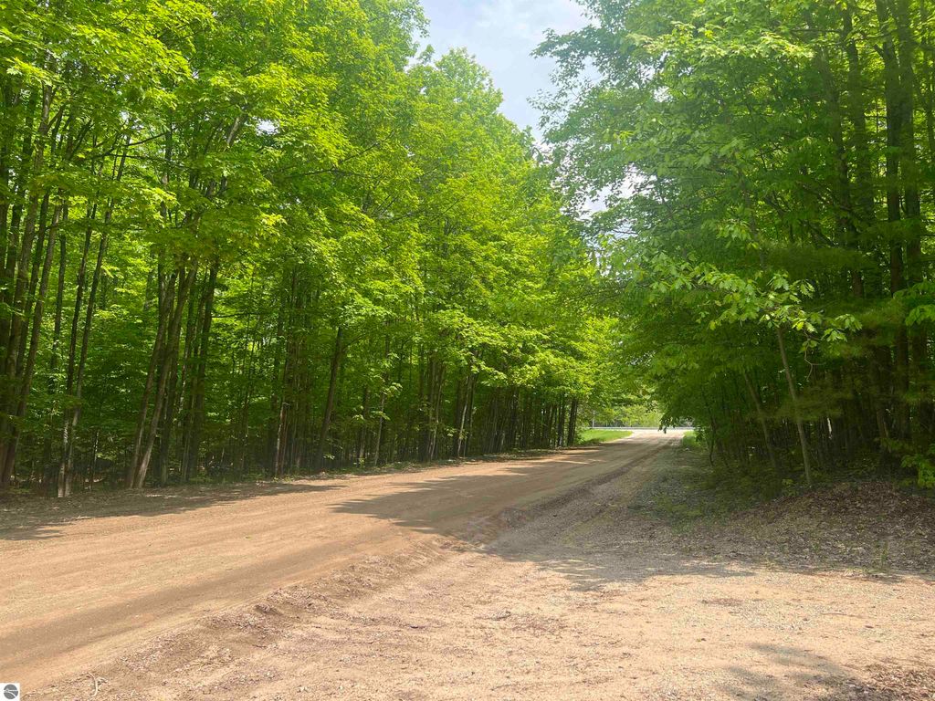 Image 47 of property listing at 135 Montgomery Road, South Boardman, MI 49680