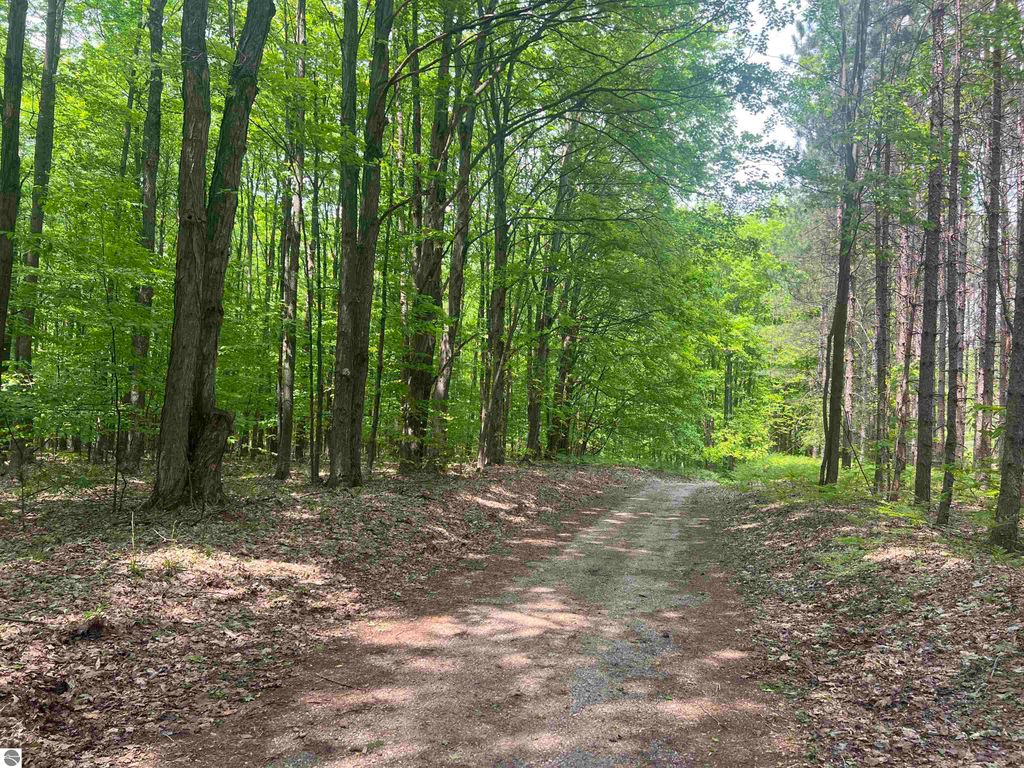 Image 50 of property listing at 135 Montgomery Road, South Boardman, MI 49680