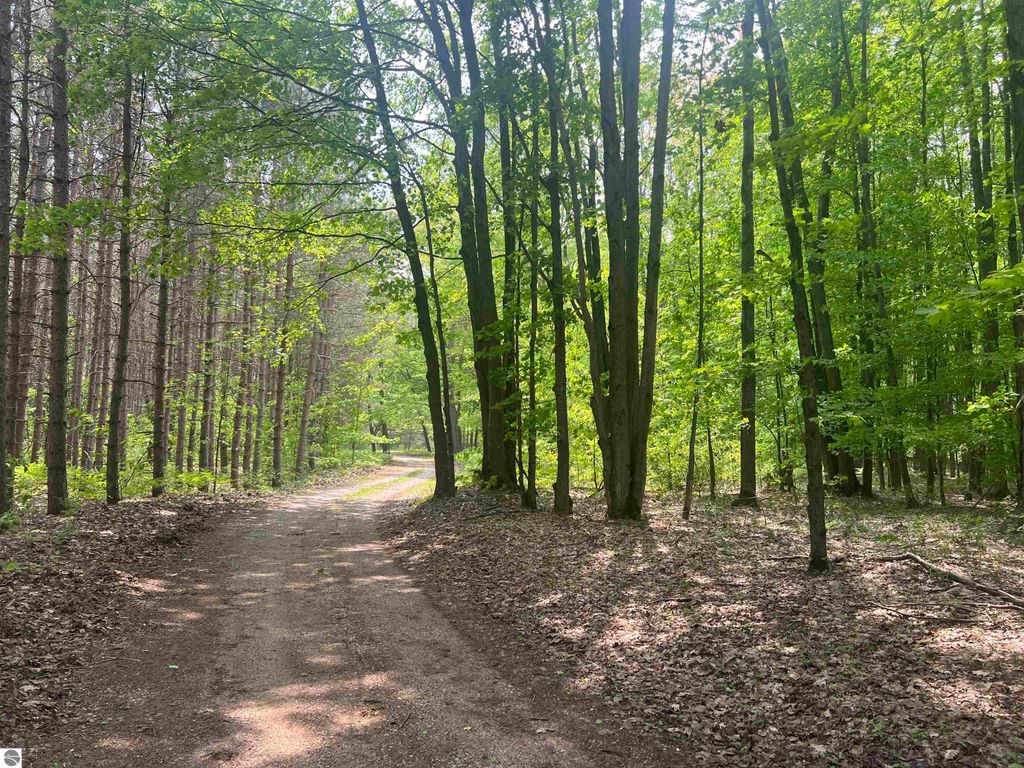 Image 51 of property listing at 135 Montgomery Road, South Boardman, MI 49680