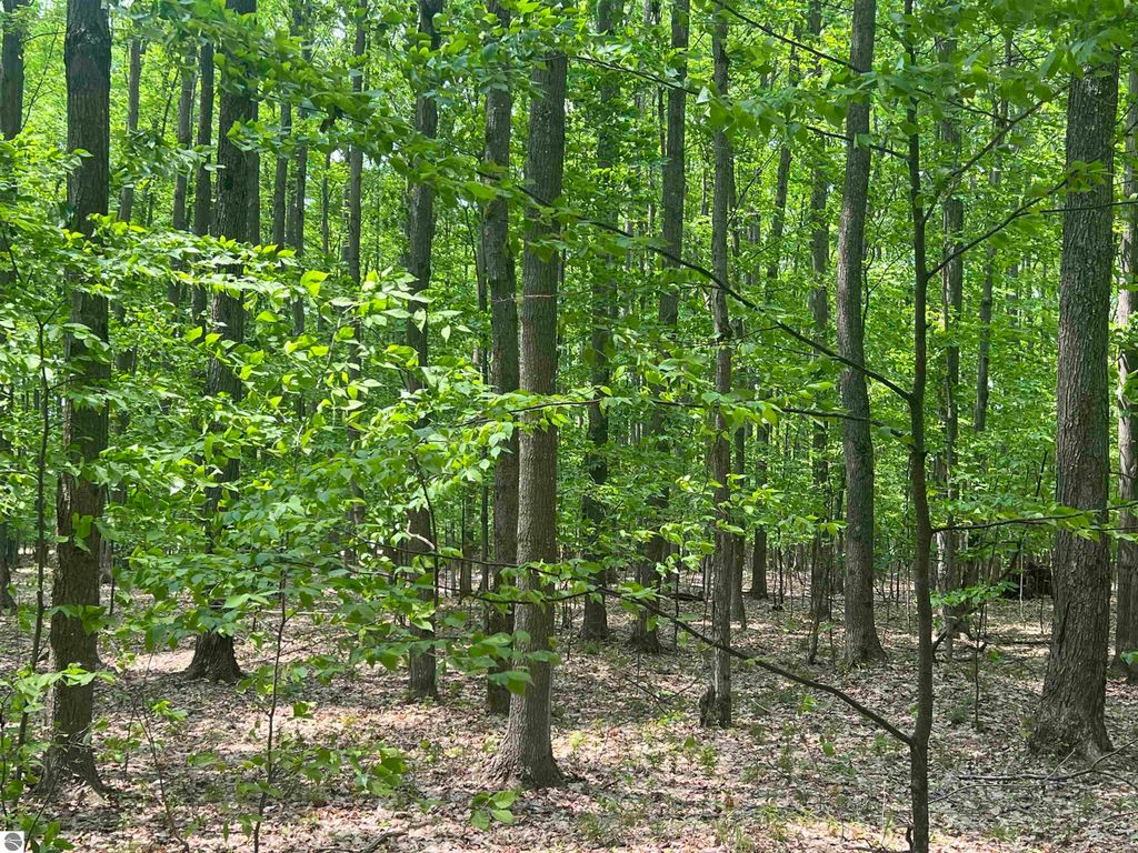 Image 52 of property listing at 135 Montgomery Road, South Boardman, MI 49680