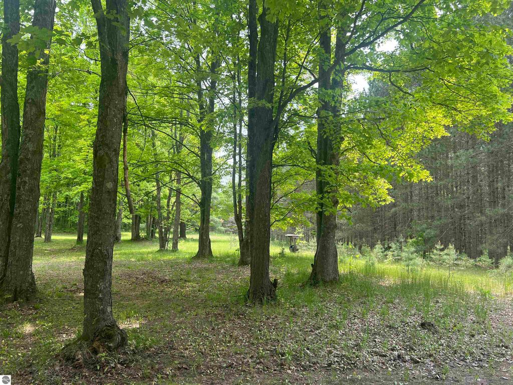 Image 58 of property listing at 135 Montgomery Road, South Boardman, MI 49680